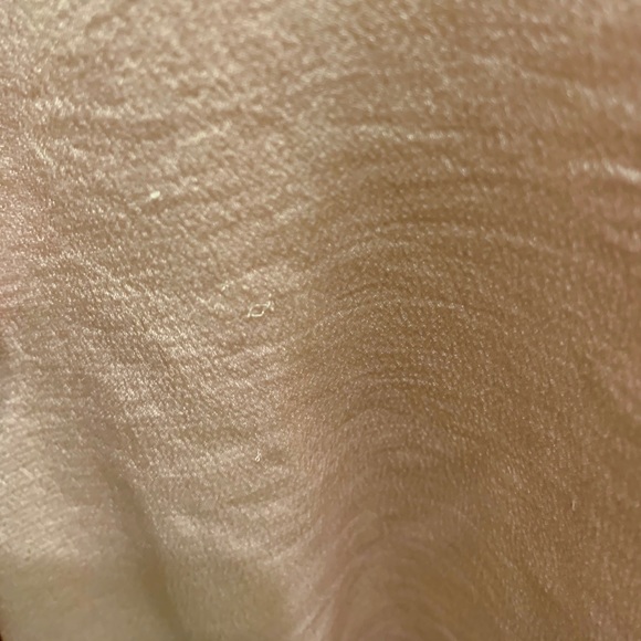 Light Pink Chiffon Dress - Picture 4 of 5